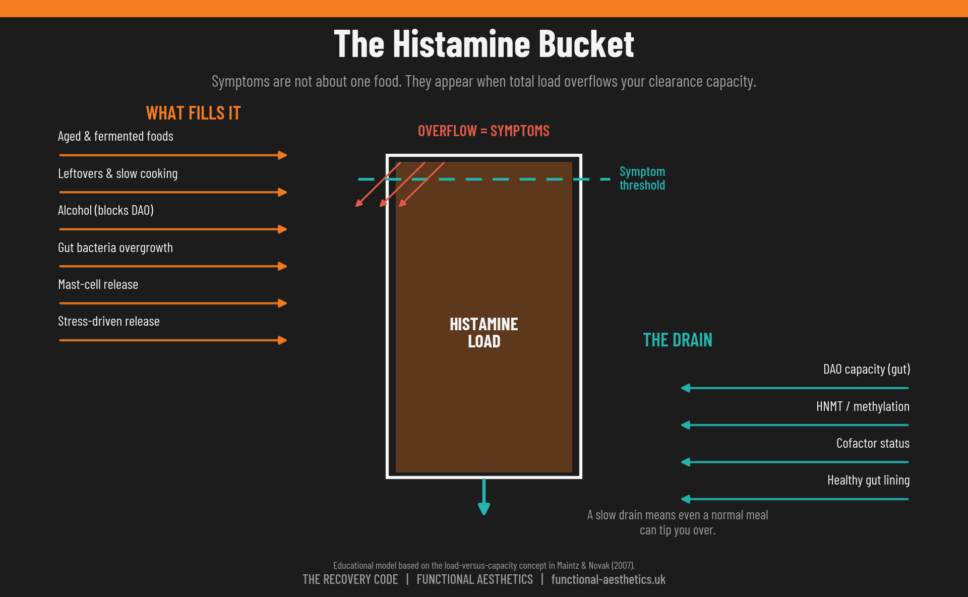 The histamine bucket model showing dietary and internal histamine sources filling a bucket while DAO and methylation clearance drains it, with an overflow symptom threshold
